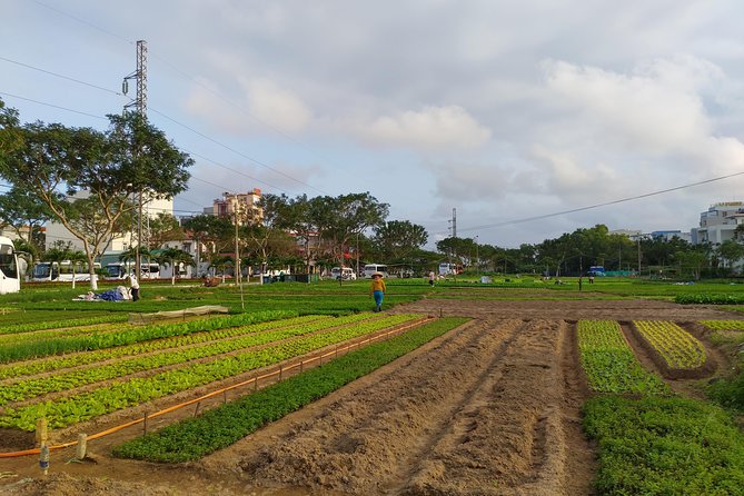 Danang Bike Tour: Veggie Garden, Marble Hills, K20 Tunnel, Foodie - Key Points