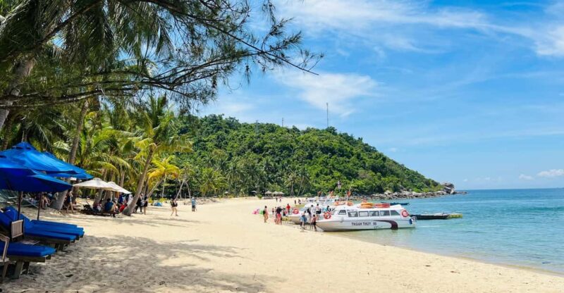 Danang/Hoi An: Cham Island & Snorkeling Full Day - Itinerary and Activities