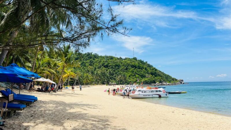 Danang/Hoi An: Cham Island & Snorkeling Full Day - Included Services