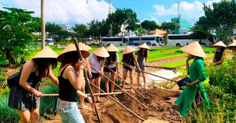 Danang Home Cooking Tour: From Farm to Table - Important Information