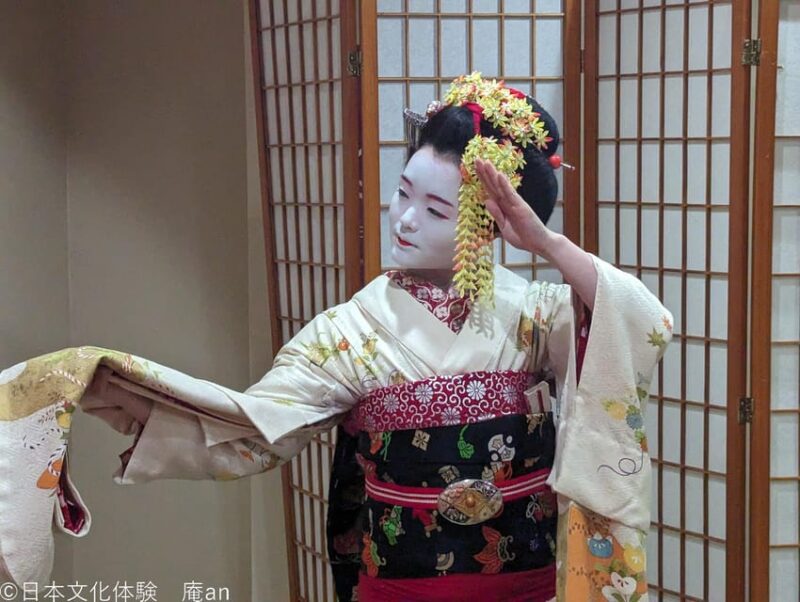 Dance and Game With Maiko - Key Points
