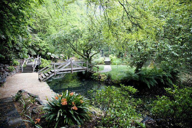 Dandenong Ranges Private Day Tour - Authentic Experiences and Real Insights