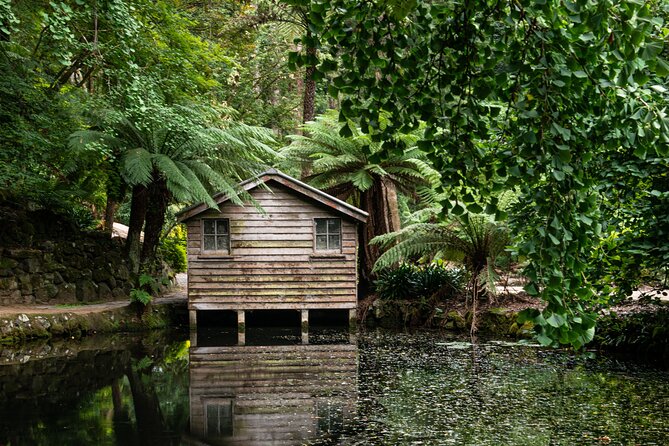 Dandenong Ranges Private Day Tour - Exploring the Dandenong Ranges