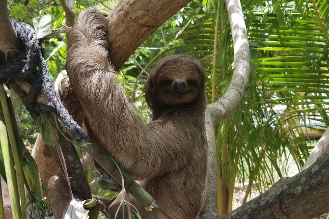 Daniel Johnson,Iguana Farm & Island Tour - Key Points