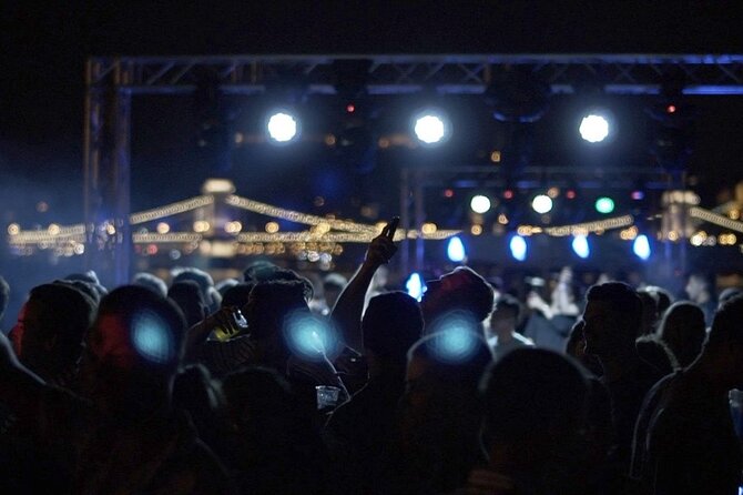 Danube Beat Boat Party Cruise Ticket - Accessibility Features