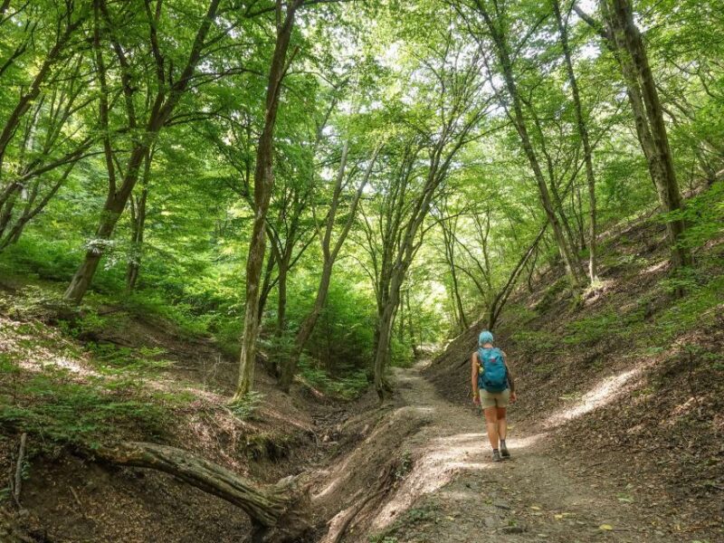 Danube Bend Hiking and Kayaking Adventure - Included Services