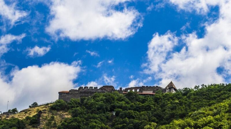 Danube Bend: Private 8-Hour Full Board Tour From Budapest - Accessibility and Language Options