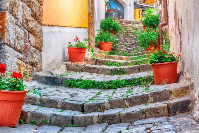 Danube Bend Tour - Charming Szentendre