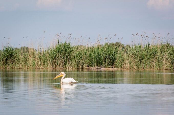 Danube Delta - 2-Day Tour From Bucharest - Frequently Asked Questions