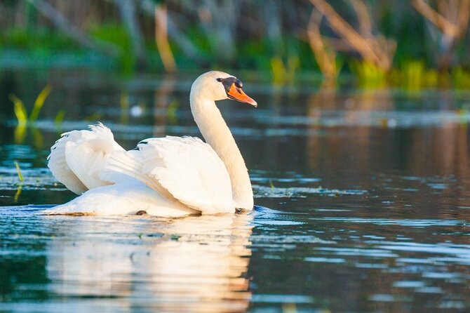 Danube Delta and Black See - 2 Days Private Tour From Bucharest - Tour Details