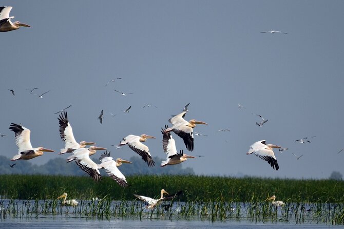Danube Delta and Black See - 2 Days Private Tour From Bucharest - Pricing and Cancellation Policy