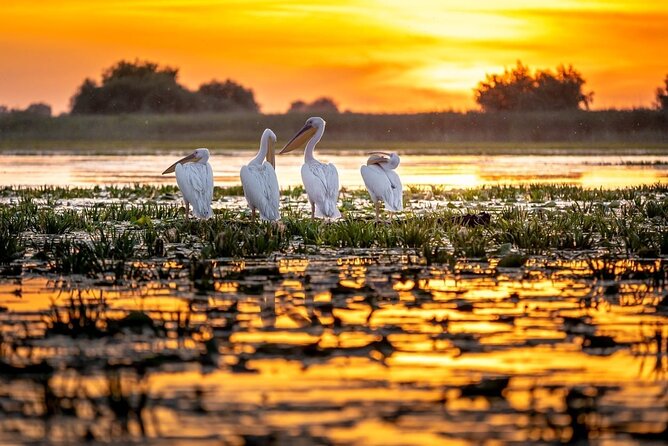 Danube Delta and Black See - 2 Days Private Tour From Bucharest - Day 2: Black Sea Coastal Drive