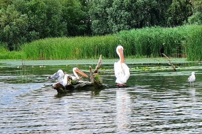 Danube Delta - Private Tour - Booking and Cancellation