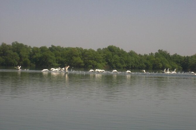 **Danube Delta Trips on the Camely Boat: Departing From Tulcea** - Planning Your Trip