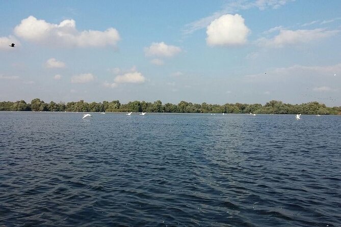 **Danube Delta Trips on the Camely Boat: Departing From Tulcea** - Questions About Staying Here