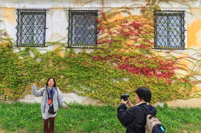 Danube Valley Delights: A Vienna Day Adventure - Discovering Dürnstein