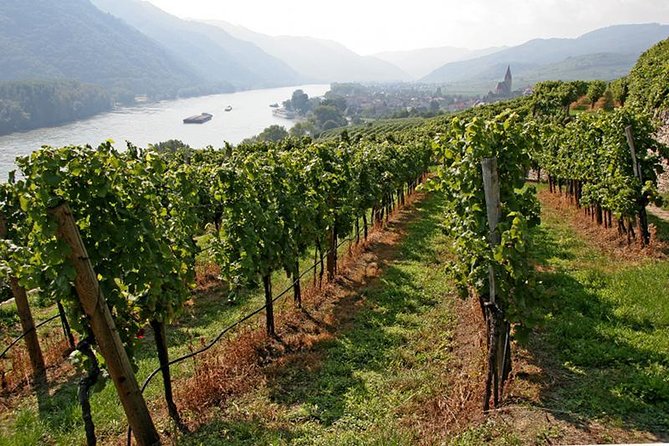 Danube Valley Private Tour With Melk Abbey Skip-The-Line Access From Vienna - Inclusions and Pricing