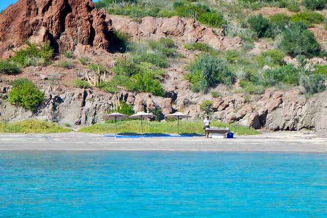 Danzante Island and Snorkel Tour From Villas Del Palmar Hotel - Key Points