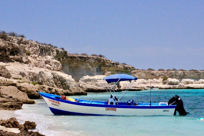 Danzante Island and Snorkel Tour From Villas Del Palmar Hotel - Customer Experiences