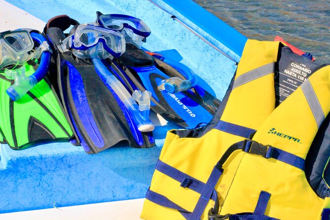 Danzante Island and Snorkel Tour From Villas Del Palmar Hotel - Private Transportation