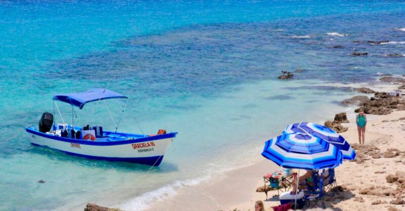Danzante Island & Snorkel Tour From Villa Del Palmar Hotel - Key Points