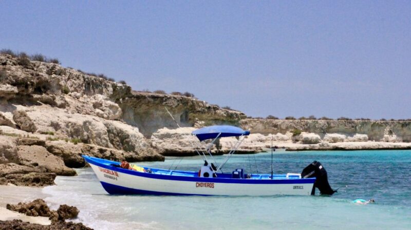 Danzante Island & Snorkel Tour From Villa Del Palmar Hotel - Snorkeling in the Sea of Cortez