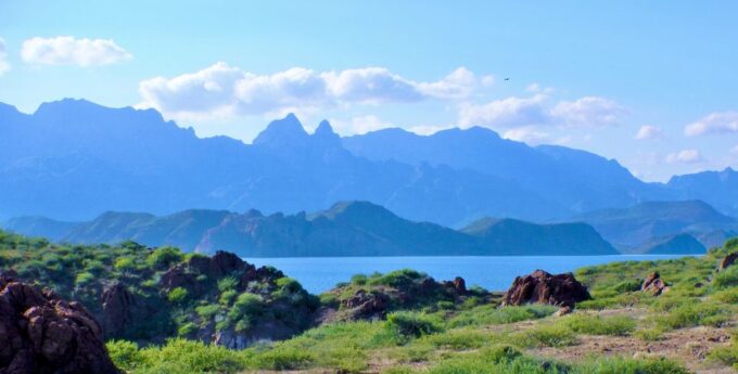Danzante Island & Snorkel Tour From Villa Del Palmar Hotel - Frequently Asked Questions