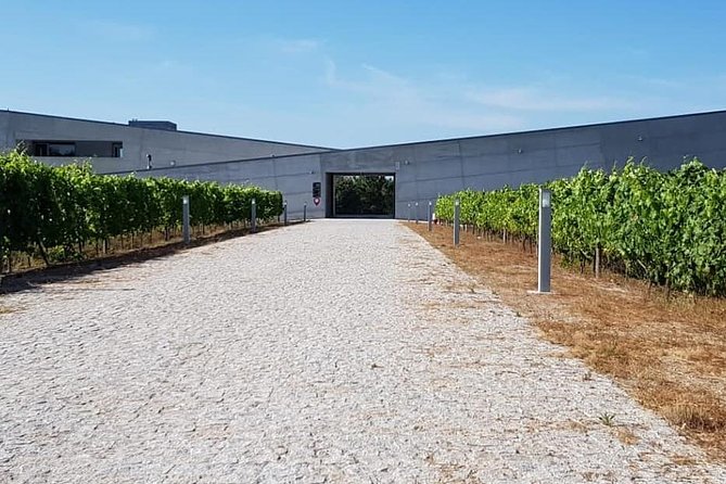 Dão Wine Region: Portuguese Version on Bordeaux - About Your Stay