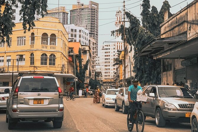 Dar Es Salaam City Sightseeing Private Tour - Inclusions and Amenities