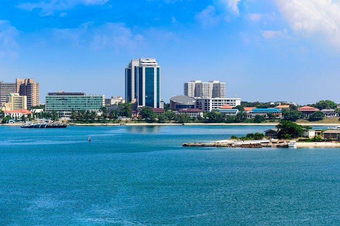 Dar Es Salaam City Tour. All Must See Things (Private Guide and Car) Full Day - Kivukoni Fish Market Exploration