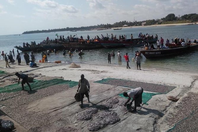 Dar Es Salaam City Tour - Everyday - Visiting Tingatinga Arts