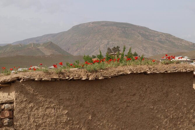Darband-Boyson Uzbekistan Mountain Trekking 3-Day Private Tour From Samarkand - Accommodation and Meals