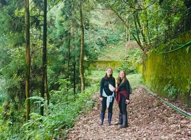 Darjeeling Cultural & Nature Walking Guided Tour - What’s Included and What You’ll Need to Budget For