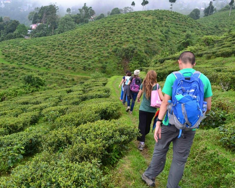 Darjeeling Cultural & Nature Walking Guided Tour - FAQs