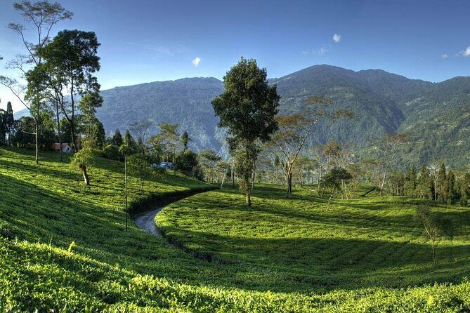 Darjeeling Hills Escape for 3 Nights and 4 Days Private Tour - FAQ