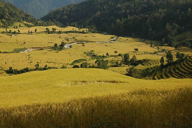 Darjeeling Sikkim Eco Village Tour - Traveler Testimonials