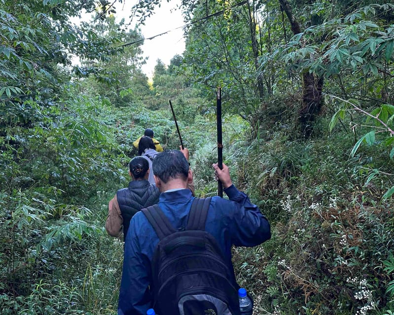 Darjeeling: Tiger Hill Sunrise Hike – Guided Day Trip - Recap