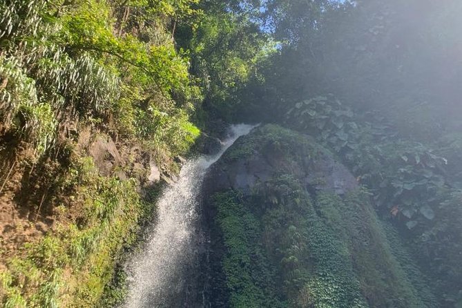 Dark View Falls and Beach Tour With Detention Tours - Private Guide and Personalized Tour