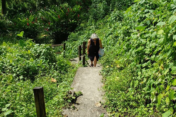 Dark View Falls and Pirates of the Caribbean Movie Set - Booking Your Stay