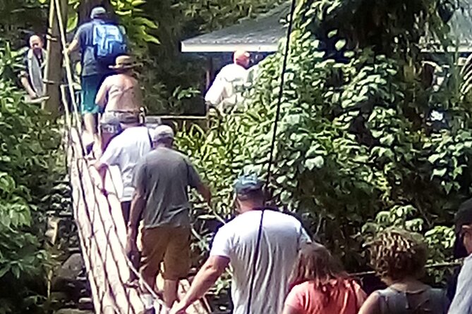 Dark View Falls Half-Day Tour - Tour Experiences