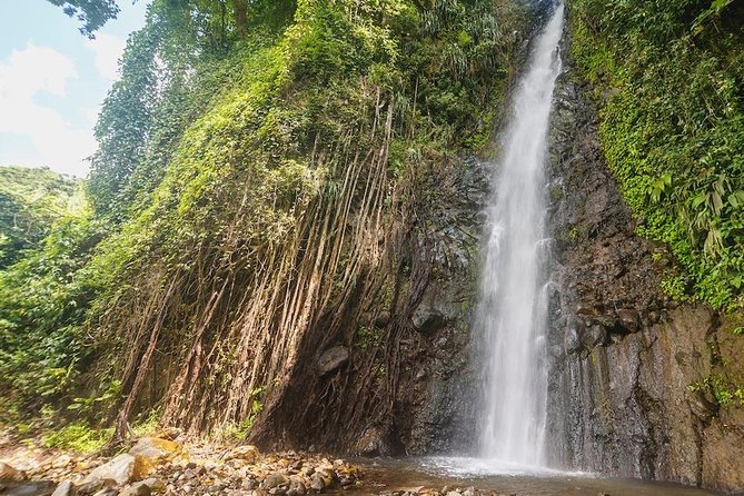 Dark View Falls Half-Day Tour - Booking and Considerations