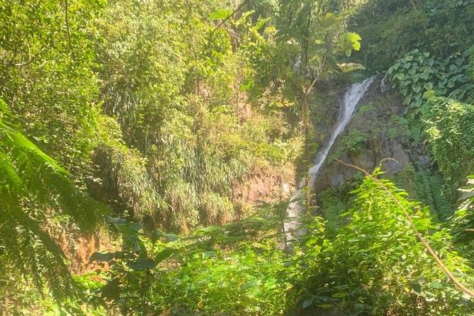 Dark View Falls Private Tour - Pricing and Cancellation