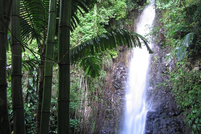 Dark View Falls Tour and Beach - Transportation and Logistics