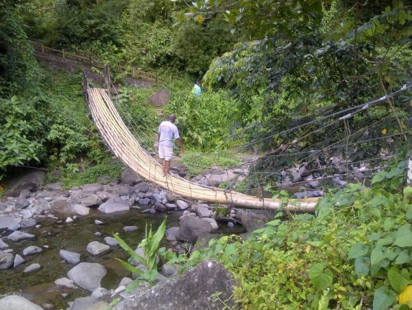 Dark View Falls Tour With Trubb Taxi Tours SVG - About Your Stay