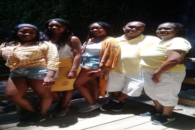 Dark View Falls Tour With Trubb Taxi Tours SVG - Accessibility and Participation