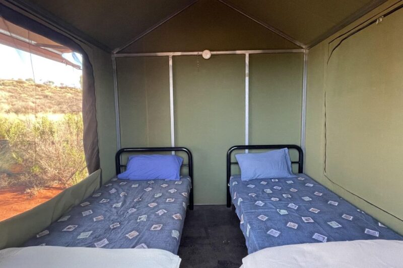 Darwin: 5-Day 4WD Kakadu, Litchfield Tour & Billabong Cruise - Key Highlights
