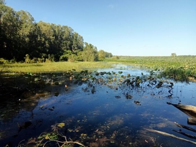 Darwin and Crocodile Tour - Booking Information