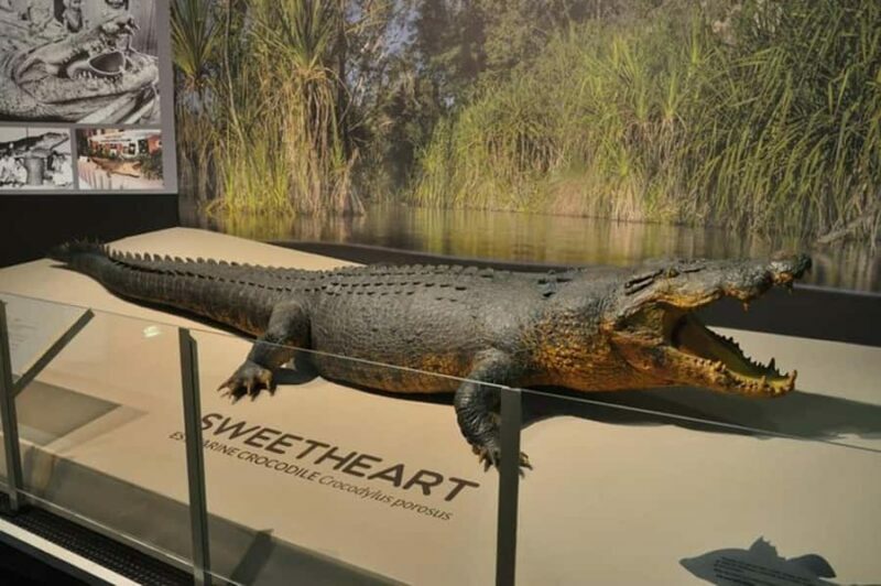 Darwin: City Explorer Bus Tour with Tour Tub - Authentic Experiences from Travelers