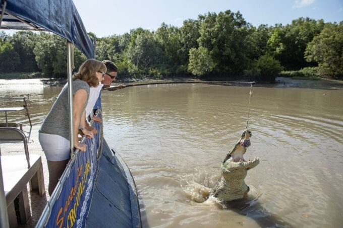 Darwin: City Sights and Jumping Crocodile Cruise - Cruising the Adelaide River