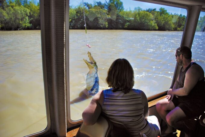 Darwin: City Sights and Jumping Crocodile Cruise - Witnessing Crocodile Launches